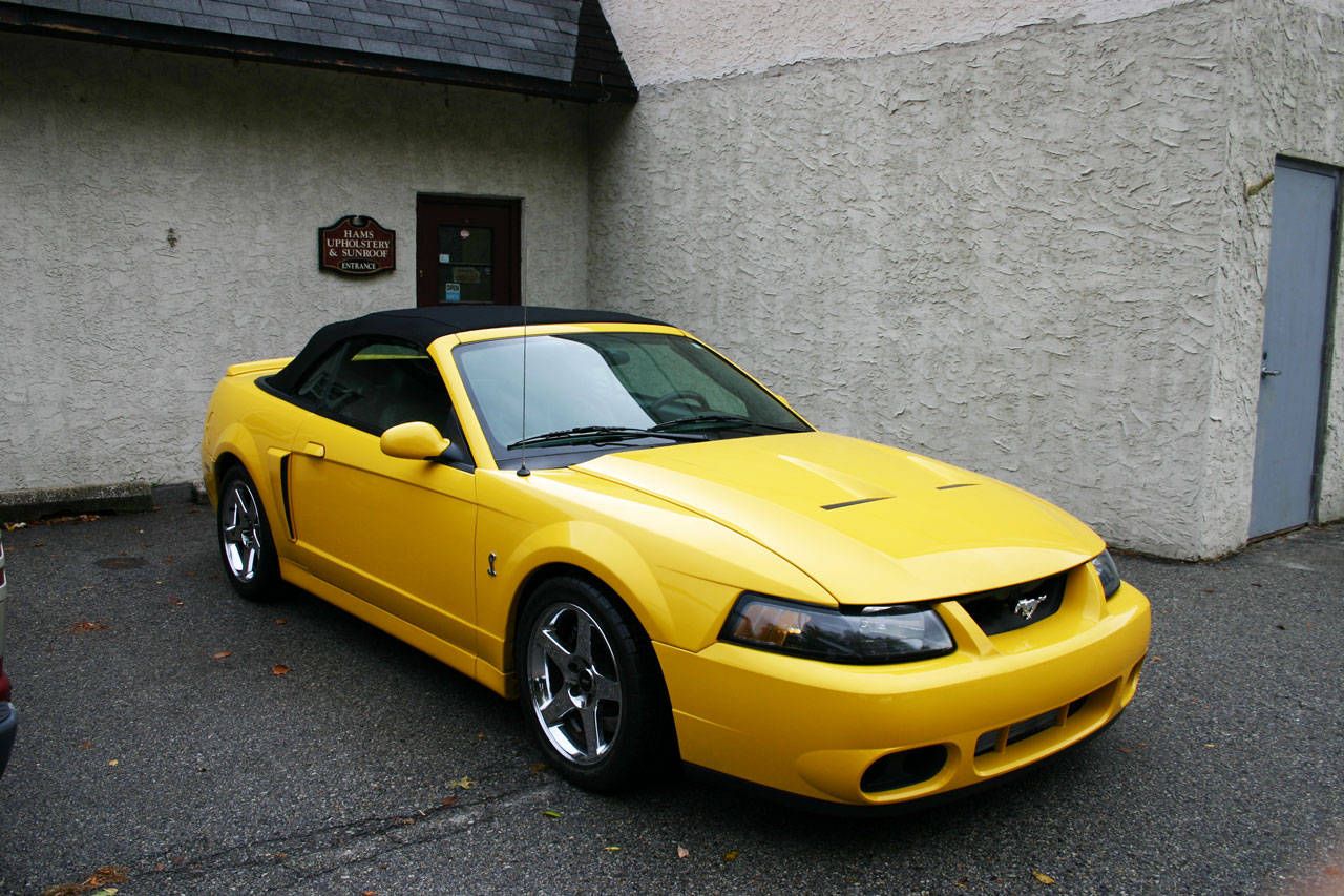 2007 Mustang Cobra Auto Upholstery